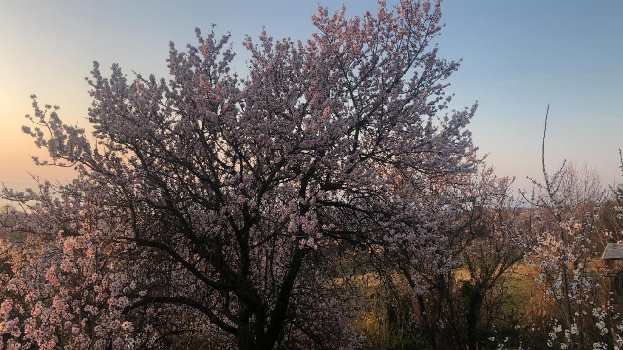Panorama Balaton Βίλα Balatongyörök Εξωτερικό φωτογραφία